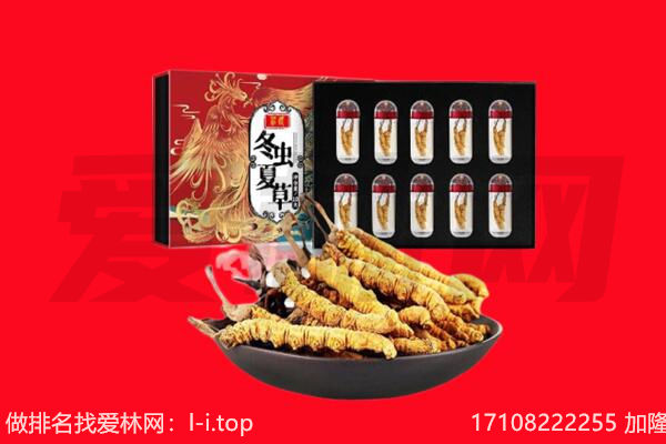 呼伦贝尔市回收虫草.jpg